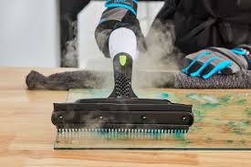 steam cleaners